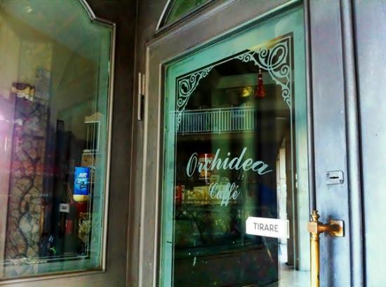 Gran Caffe Orchidea