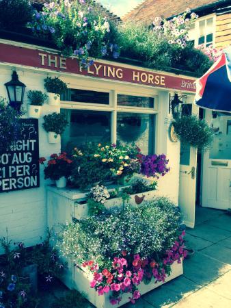 The Flying Horse