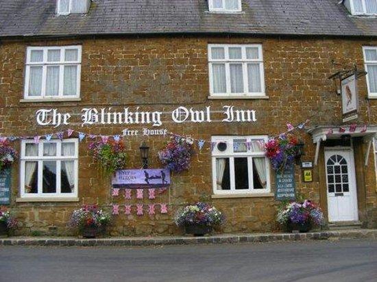 The Blinking Owl