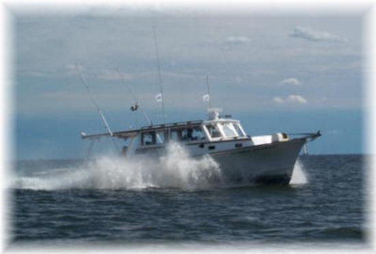 Stormy Petrel Charters