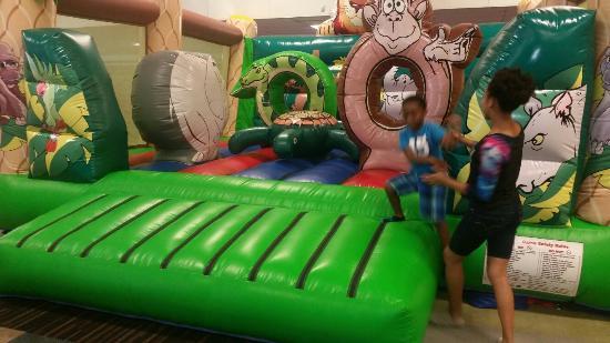 The Bounce Palace