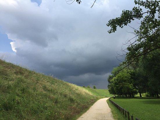 Parco Fluviale di Fossalta di Piave
