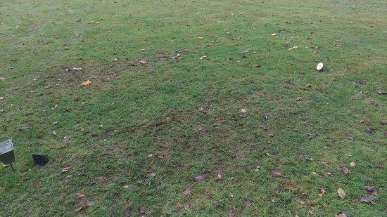 Whitefields Golf Club