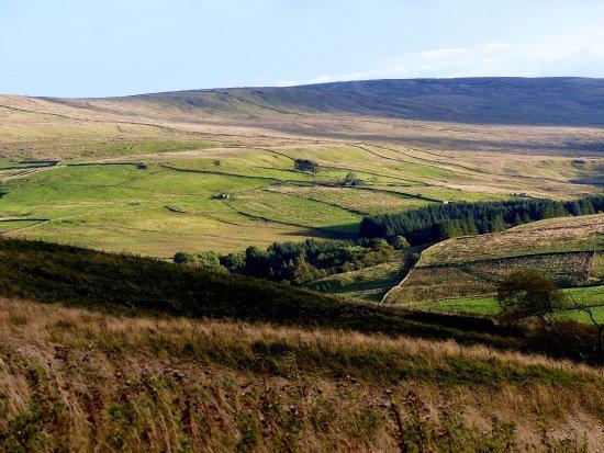 Slitt Wood and West Rigg Geotrail