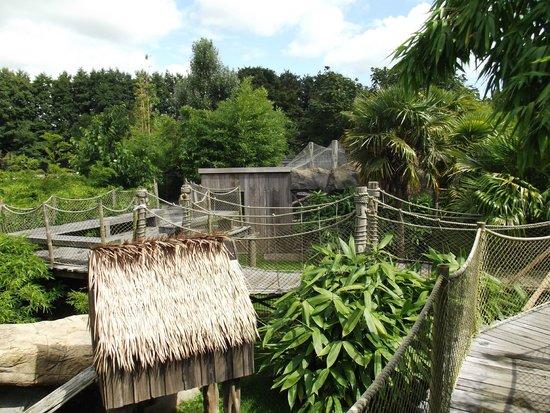 Rare Species Conservation Centre