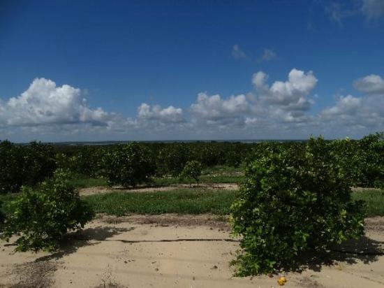 Ridge Scenic Highway
