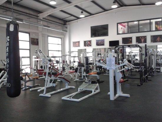 Quesada Fitness Gym