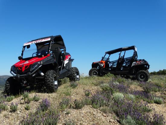 Buggy du Golfe de Saint Tropez