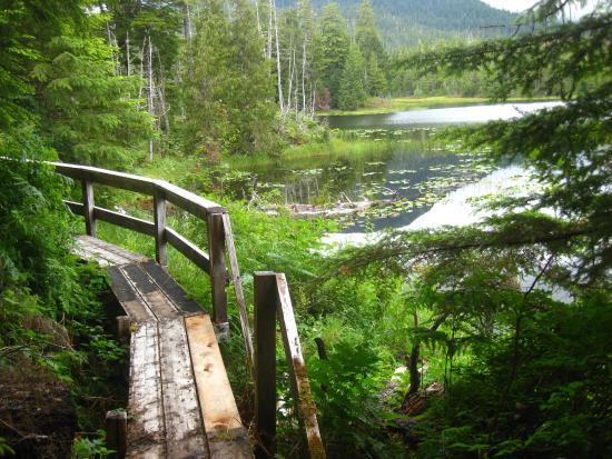 Balls Lake Trail and Picnic Site