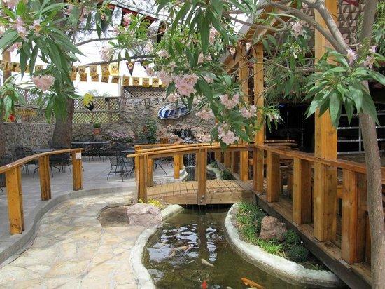 Aceitunas Beer Garden
