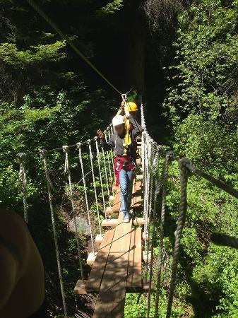 Zip McCall Adventures