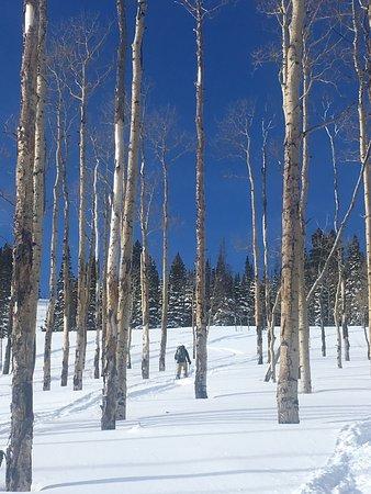 Steamboat Backcountry Adventures