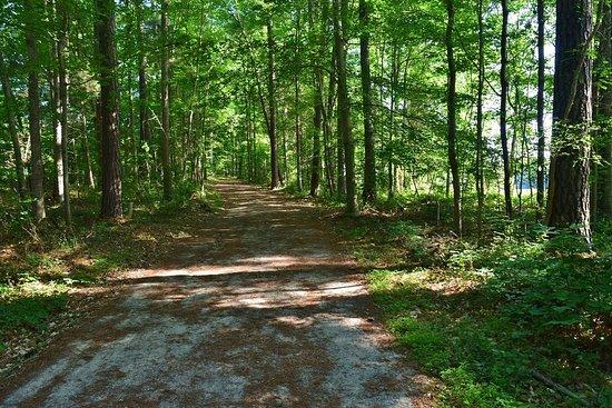 Al Buehler Hiking Trails