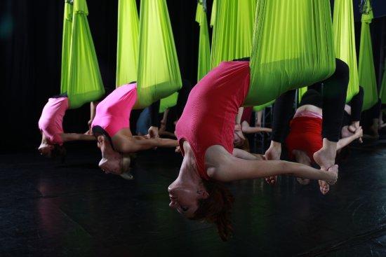 Shine Alternative Fitness