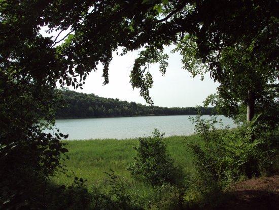 Reihersee