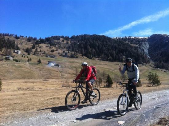 MTB Aprica Asd