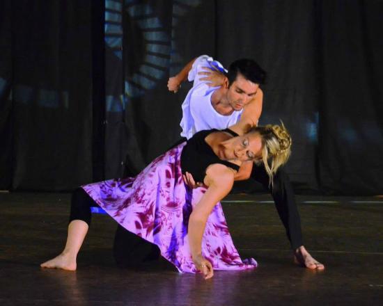 Olivier Ansel Cours De Danse