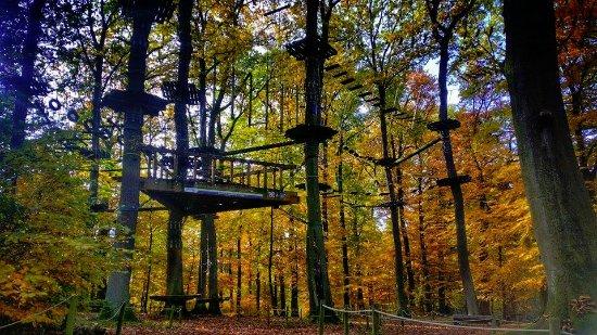 Kletterwald Hameln