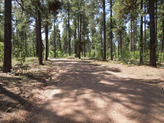Country Club Trail