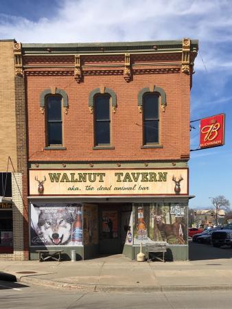 Walnut Tavern AKA The Dead Animal Bar