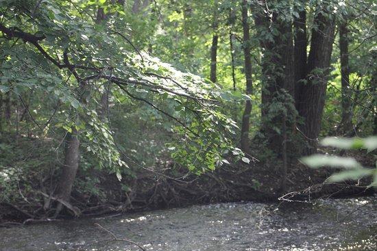 Shingle Creek Trailway