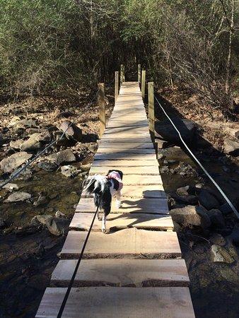 Lake Alma Hiking Trail