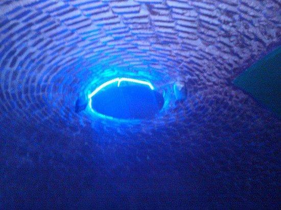 DiscoFleca