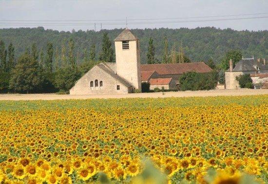 Domaine de l'Erable
