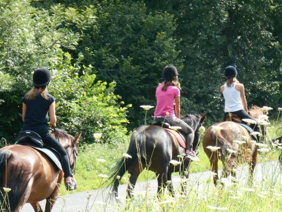 Centre Equestre du Montcelet