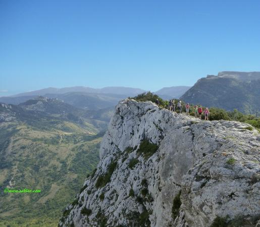 SableO - Day Tours
