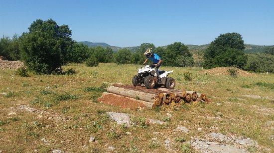 Causs Quad