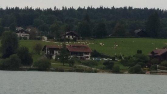 Les Bateaux du Lac Saint-Point