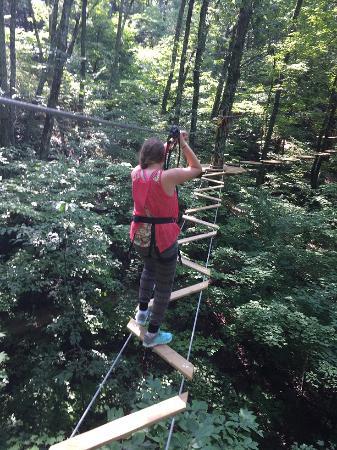 Go Ape Treetop Adventure Course