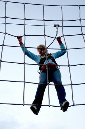 Wired High Ropes Challenge