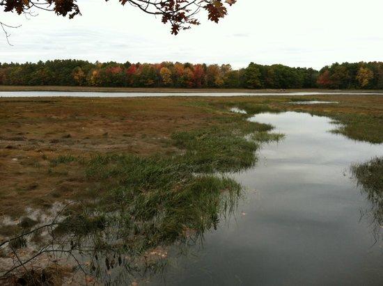 Kennebunk Bridle Path