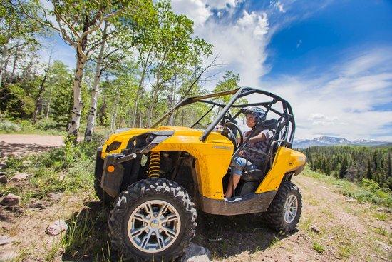 TRAX PowerSports Rentals