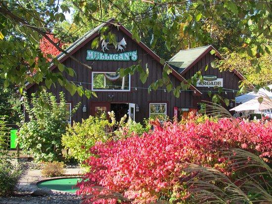 Mulligan's Miniature Golf
