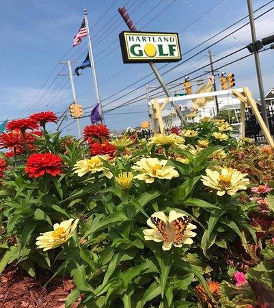 Hartland Miniature Golf & Arcade