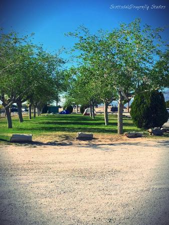American Campground