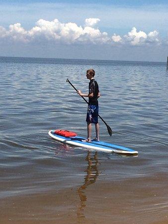Salty Dog Paddlesports