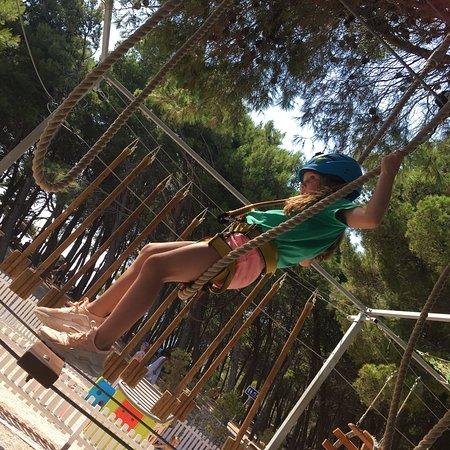 Chimpy Adventure Park
