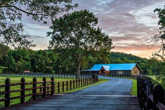 Orvis Shooting Grounds at Pursell Farms