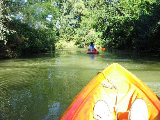Canoe en Gascogne