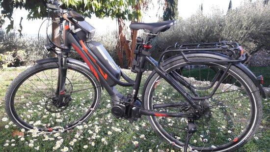 Flaycycle