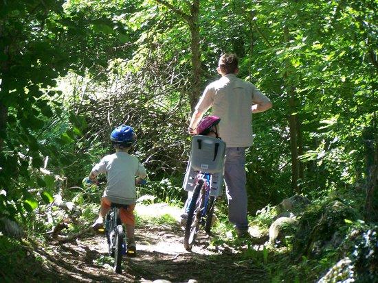 Locacyclesmassat Formule Descente