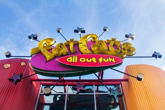 Fat Cats