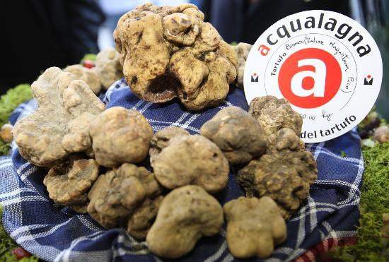 Fiera del Tartufo