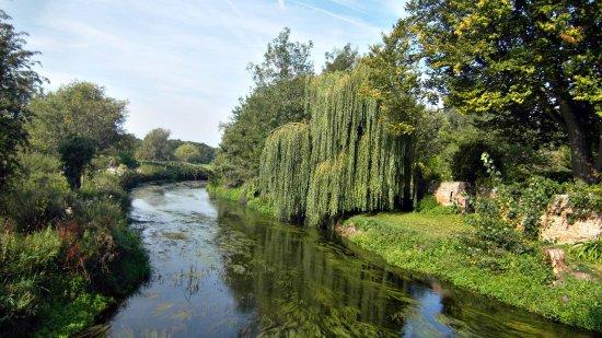 Fordwich River Tours