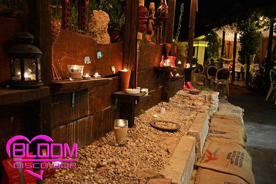 Bloom Discobar