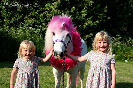 The Stables Pony Parties